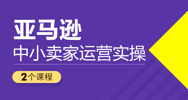 雨课·中小卖家亚马逊运营实操，价值319元