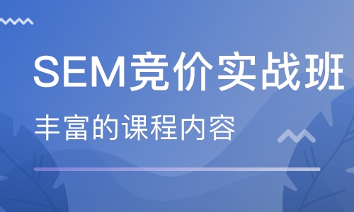 艾课网SEM课程，共二十多套