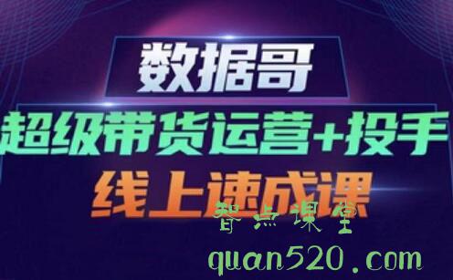 数据哥·超级带货运营+投手线上速成课，价值4980元