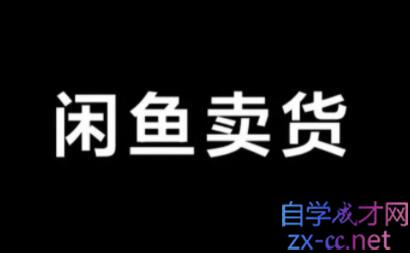 引流哥·闲鱼卖苹果手机项目，价值888元