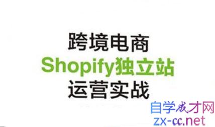 2021最新Shopify独立站新手训练营