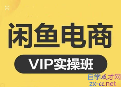 鱼客·闲鱼电商零基础入门到进阶VIP实战课程