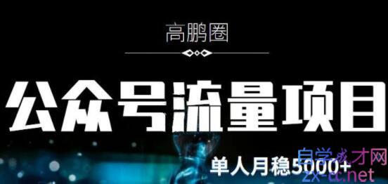 高鹏圈·公众号流量主暴利撸收益项目，价值480元