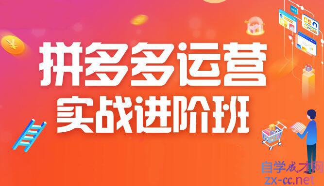 老关电商·2021拼多多vip教程