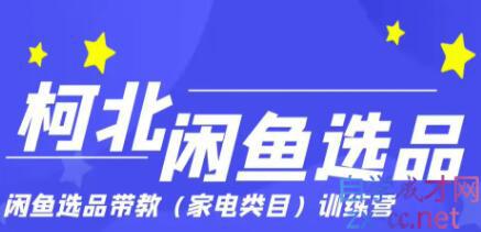 柯北·闲鱼选品带教加点类目训练营，价值499元