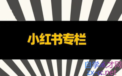 品牌医生·小红书全链营销干货，价值299元