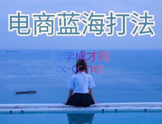 无招电商·电商蓝海打法（小白搞钱私密课），价值6688元