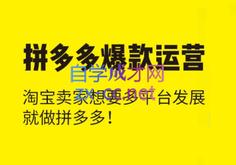 张广辉·拼多多爆款运营课程（更新）