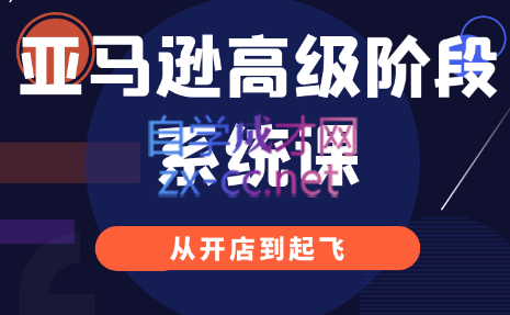 八方学院·亚马逊高阶段系统课，价值2999元