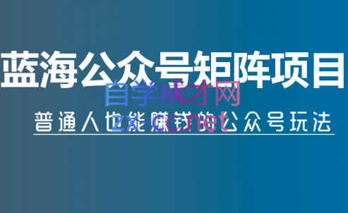 倪叶明·蓝海公众号矩阵项目训练营，价值1800元