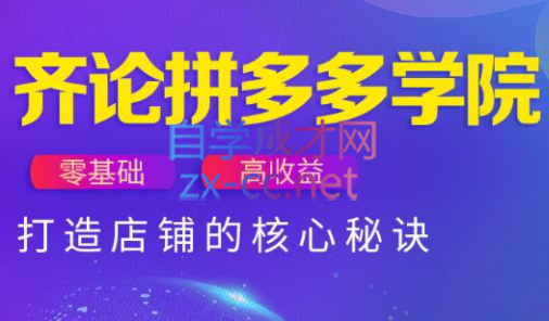 齐论拼多多vip课程（更新24年4月）