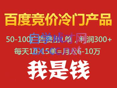 我是钱百度竞价冷门产品项目(39-57期)