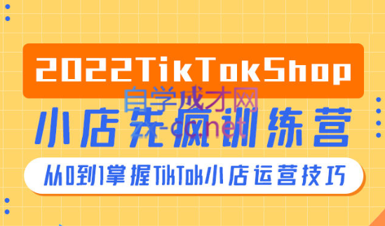 疯人院·TikTok Shop小店先疯训练营，价值4999元