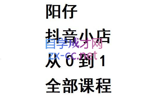 阳仔·抖音小店从0到1全部课程