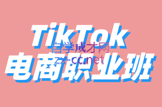 2022TikTok电商职业班-陪跑辅导21天，价值3180元