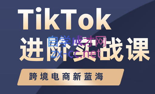 大山老师·TikTok进阶实战课