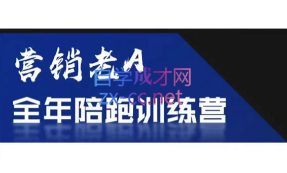 营销老A全年陪跑训练营，价值2580元