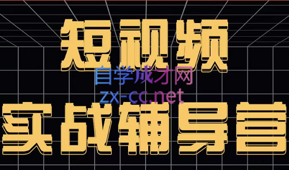 达人队长·短视频实战辅导营，价值399元