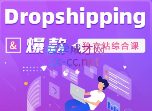 Daniel老师·Dropshipping&爆款独立站综合课，价值4399元