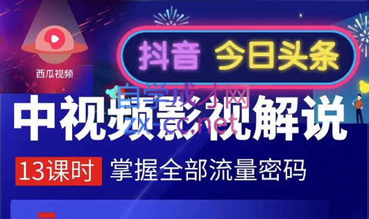 嚴如意·中视频影视解说---掌握流量密码，价值980元