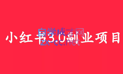 野路子实验室·小红书3.0副业项目，价值1590元