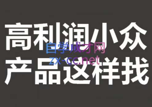 进击的恐龙电商·淘宝小众蓝海-选品方法论，价值599元