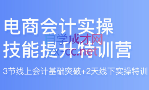 开谈电商·电商会计实操技能提升特训营，价值4800元