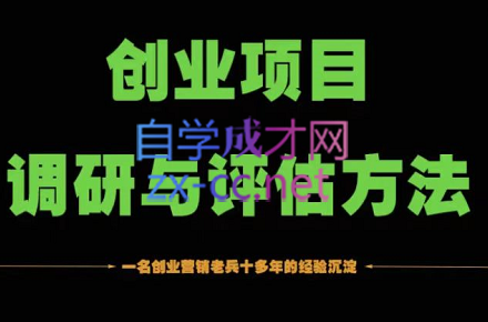 峰子轻·创业项目调研与评估方法，价值998元