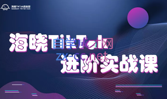 海晓TikTok进阶实战课，价值3999元