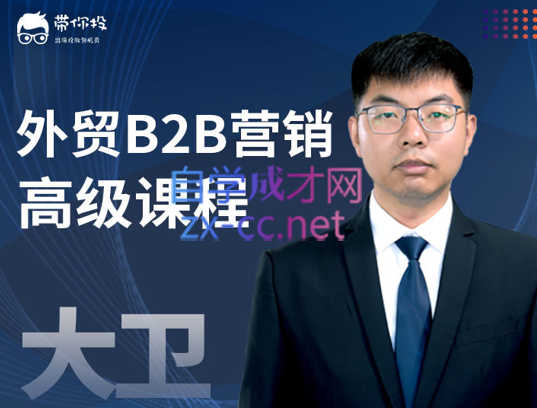 带你投·外贸B2B营销高级课程：建站+SEO+PPC广告，价值6999元