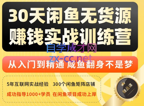 创业海盗·30天玩赚闲鱼实战训练营（第五十六期），价值3998元