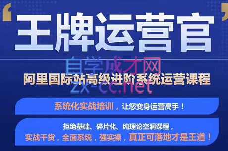 大钟·《王牌运营官》阿里巴巴国际站高级进阶系统运营精品课程，价值2988元