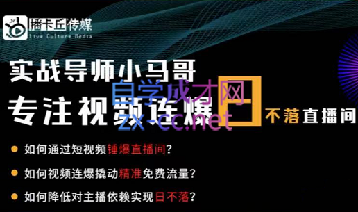 小马哥·视频连爆日不落直播间，价值1980元