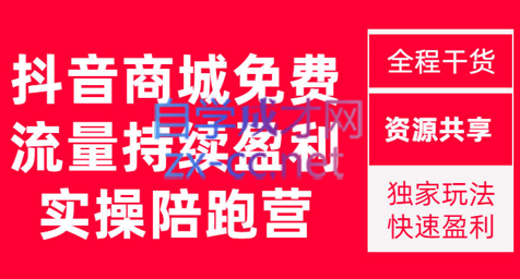 无山电商·抖音商城搜索持续盈利陪跑成长营【更新11月】，价值1980元