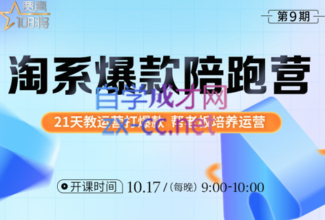 108将淘系爆款陪跑营【第九期】，价值2999元