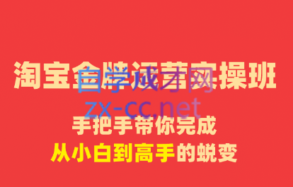 清杨老师·淘宝金牌运营实操班，价值8980元