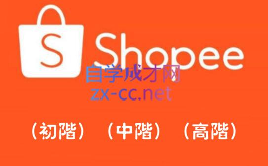 Shopee爆单训练营，实战大卖带你真实店铺实操，价值3999元