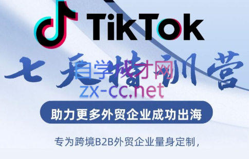 大山·TikTok七天线上陪跑训练营（第三期）