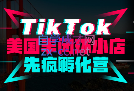 李社长·TikTok美国半闭环小店先疯孵化营