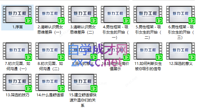 安小妖-极速吸引方程式