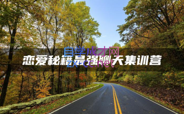聊天集训营