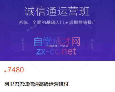 付老师·阿里巴巴诚信通高级运营班（2023）