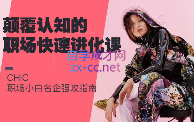 Chic颠覆认知的职场快速进化论吗，升级你的认知和核心思维力，拿下世界500强。