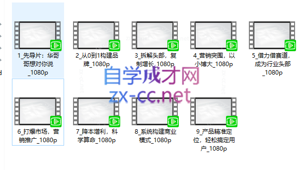 商界顶流《有结果的营销》华红兵移动营销利润增长线上课