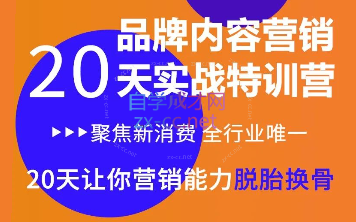 《内容营销实操特训营》20天让你营销能力脱胎换骨