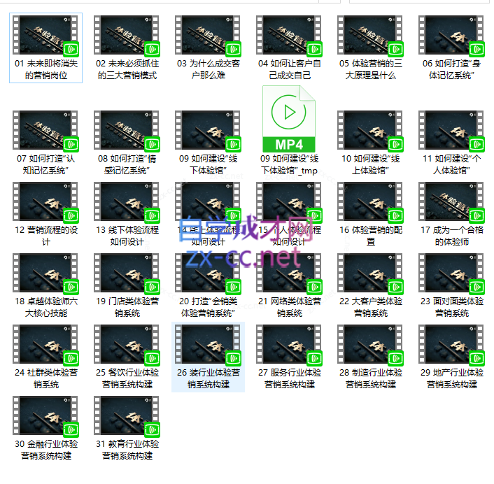 《体验营销：用体验让客户主动购买》（31节）
