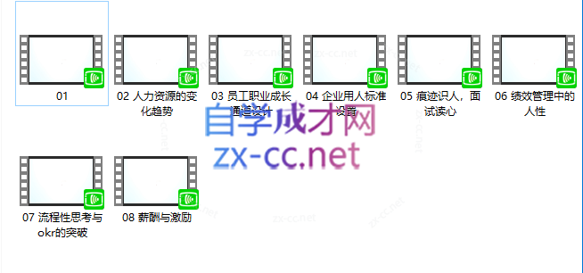 王新宇人力资源管理【完结】