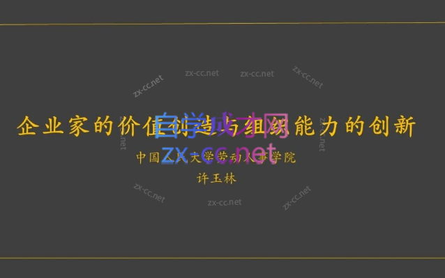 企业家的价值创造和组织能力的创新