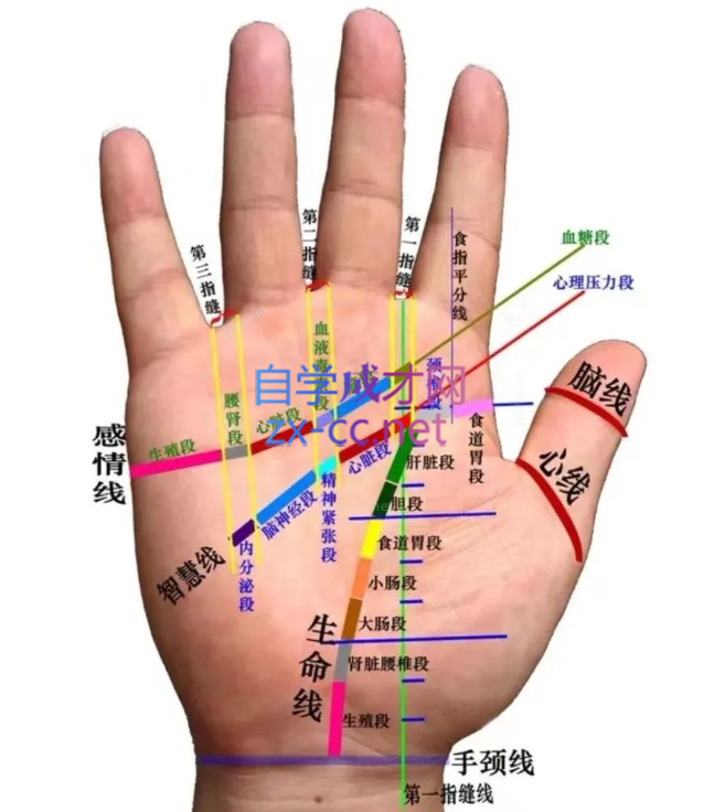 迷罗《 面诊、手诊、舌诊》