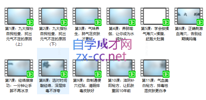 中医瑜伽养生大家迷罗：11节气血双补美颜课，让你气血好美到老